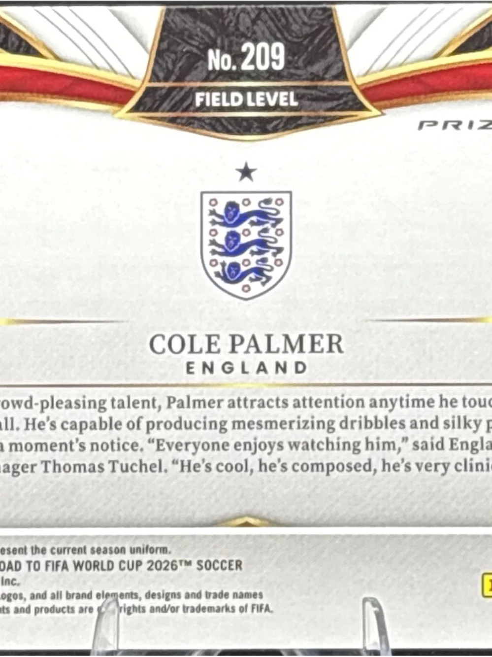 Panini Cole Palmer Field Level Soccer Card - Purple shimmer Prizm